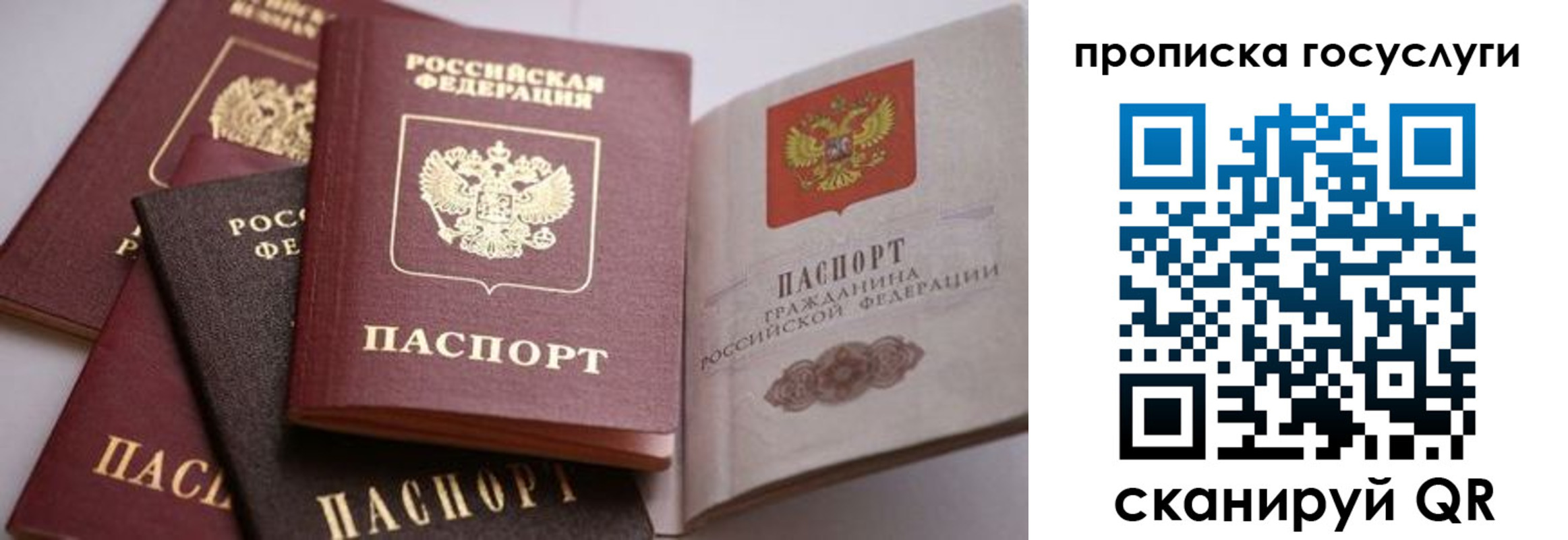 прописка иностранных граждан в Кондопоге